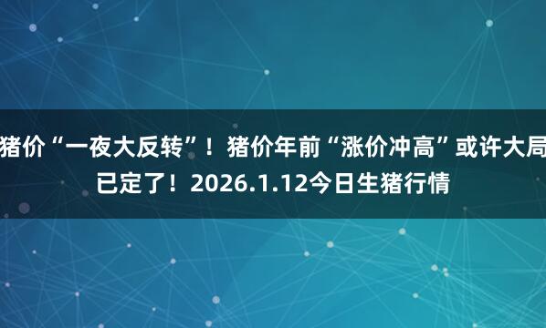 猪价“一夜大反转”！猪价年前“涨价冲高”或许大局已定了！2026.1.12今日生猪行情