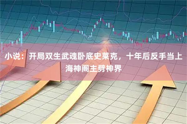 小说：开局双生武魂卧底史莱克，十年后反手当上海神阁主劈神界